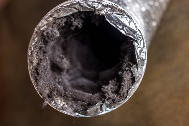 Best Affordable Air Duct Cleaning  in Spirit Lake, IA