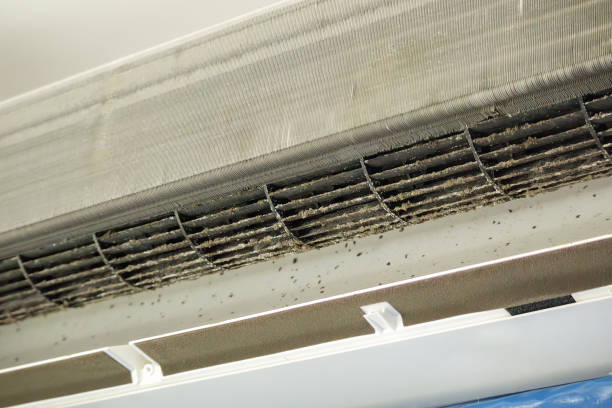 Best Air Duct Cleaning Near Me  in Spirit Lake, IA